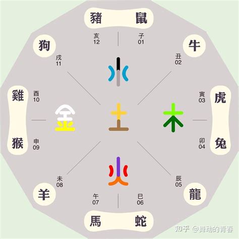 屬龍的五行|生肖屬龍人的五行與財運